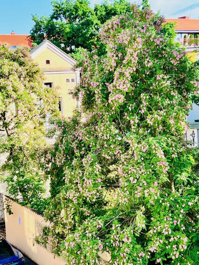 Super Apartment Old Town Klaipėda Dış mekan fotoğraf